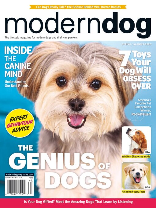 Cover image for Modern Dog